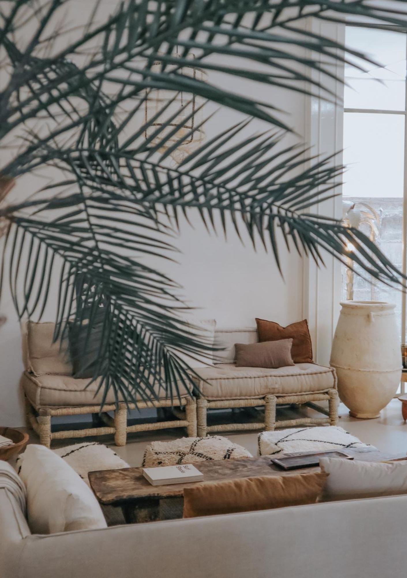 هارلم Haert Boutique Wellness Suites City Centre المظهر الخارجي الصورة